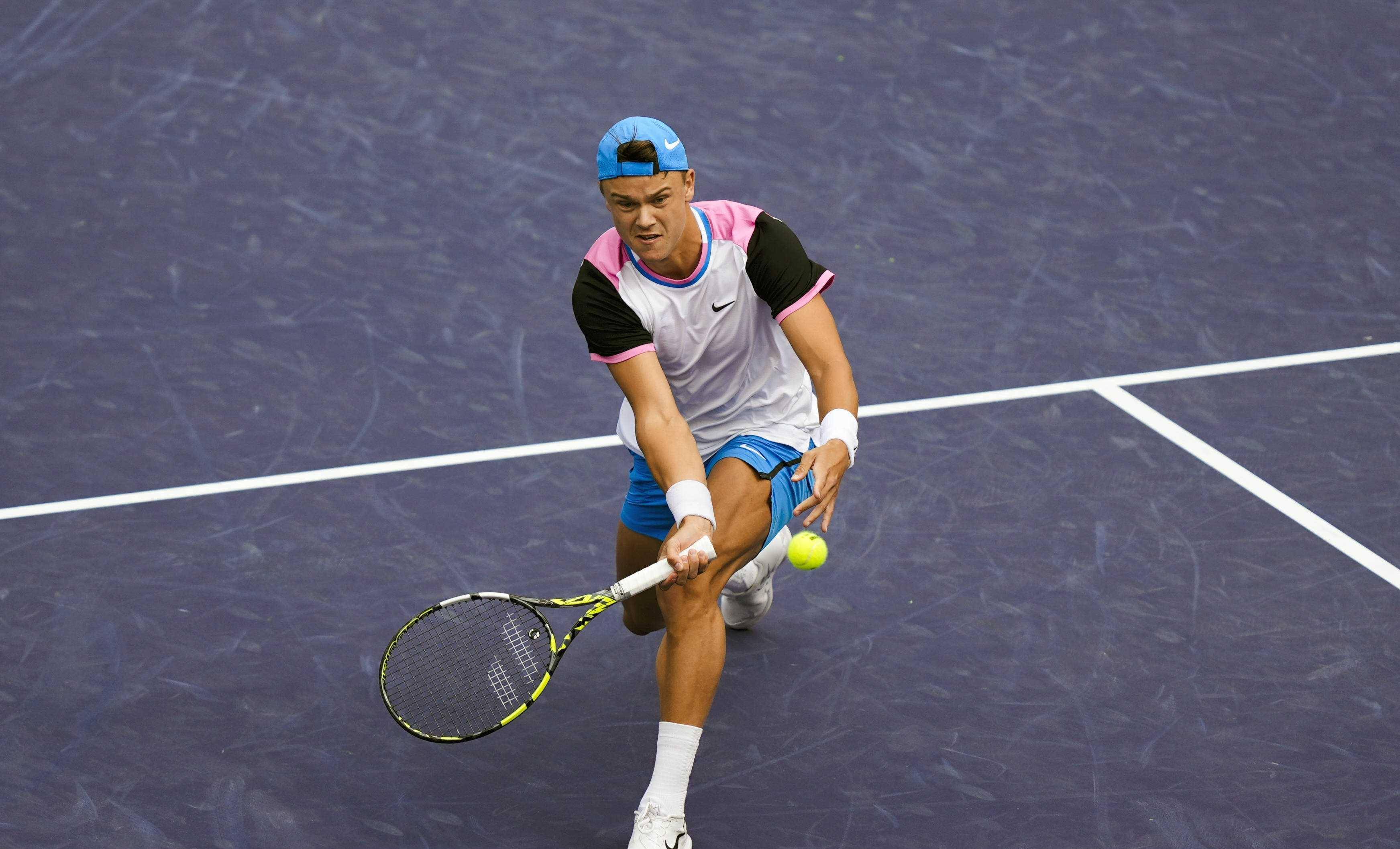 的真挚献礼 的真挚献礼