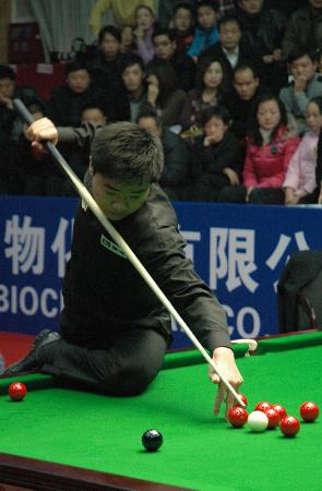 仅是数据 仅是数据