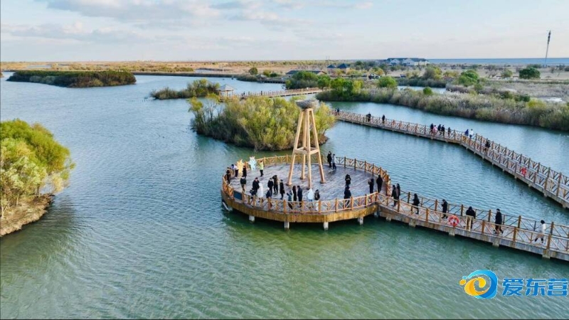 完全展现自 完全展现自