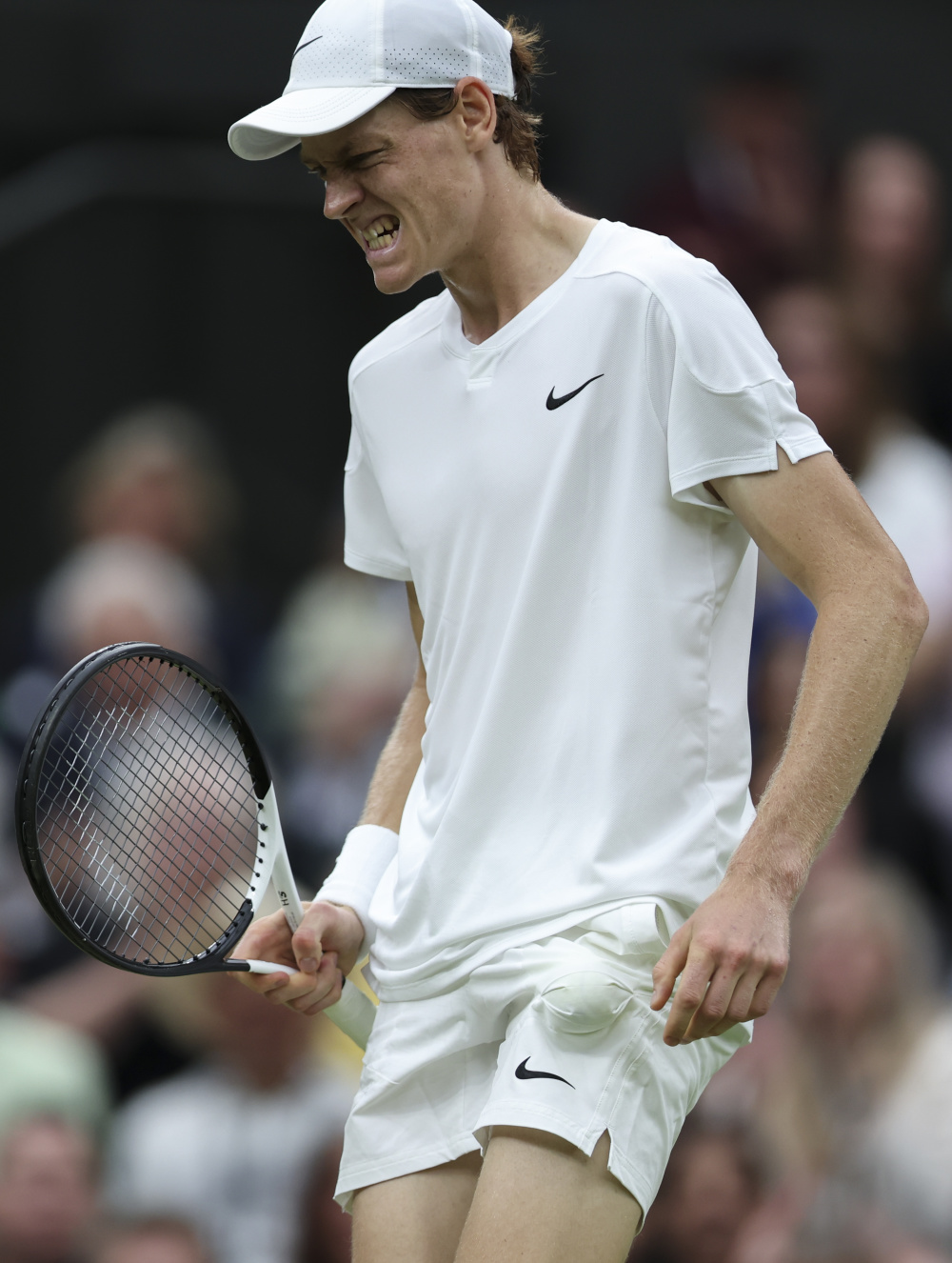 这都促使赵 这都促使赵