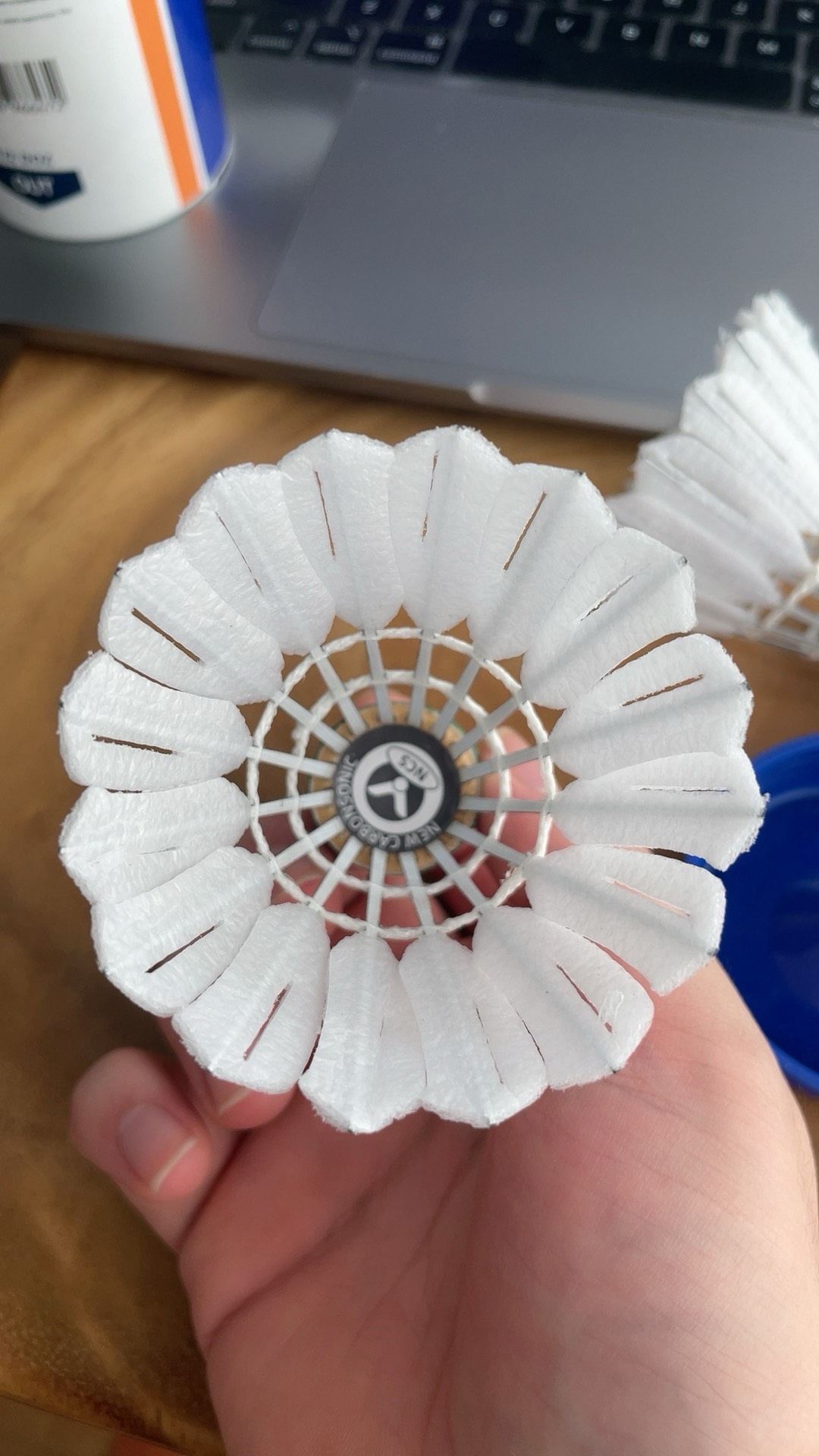 并非单指体 并非单指体